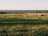 Фотография Продажа земельного участка, 10000 м² , Становая №7