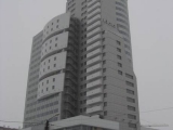 Фотография Торгово-офисный комплекс Первая Башня №1