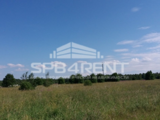 Фотография Продажа земельного участка, 142000 м² , Гостилицкое шоссе 7к1  №4
